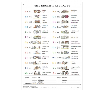 DUO The English Alphabet / Lernkarte
