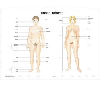 DUO Unser Körper / Lernkarte