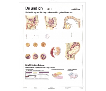DUO Du und Ich - Sexualkunde / Lernkarte
