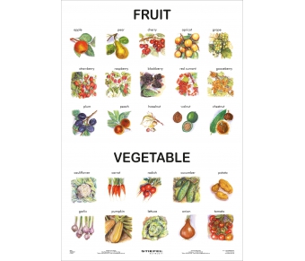 Fruit and Vegetable (englisch)