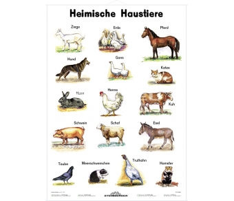 Heimische Haustiere