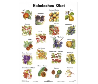 Heimisches Obst