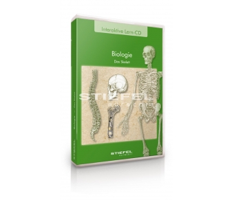 Biologie - Das Skelett