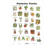 Heimisches Gemüse - Lernposter Kleinformat