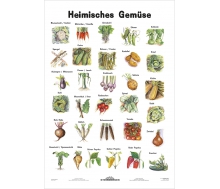 Heimisches Gemüse - Lernposter Kleinformat