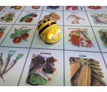 Bee Bot-Matte Obst und Gemüse