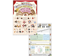 Dinocard Orchester / Musikschule