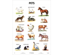 Pets (englisch)