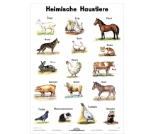 Heimische Haustiere