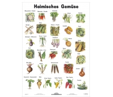 Heimisches Gemüse