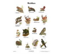 Waldtiere