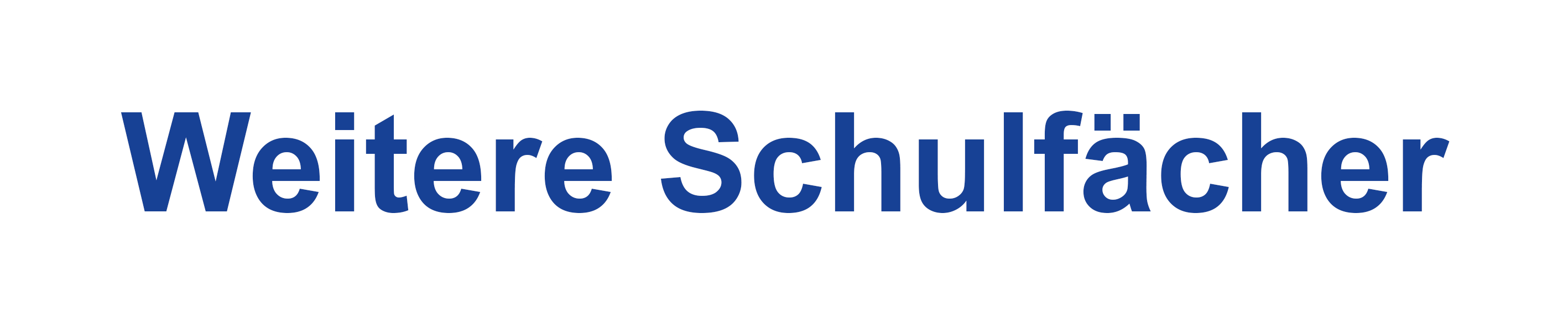 Weitere Schulfacher